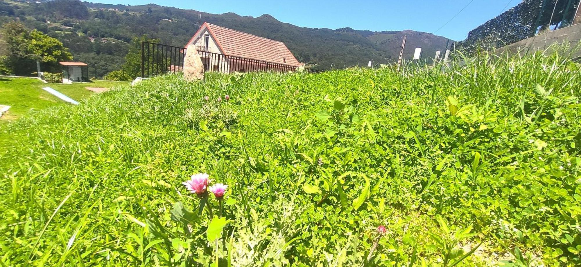 Casa A Mi Vera Covelo  Exteriör bild